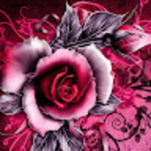 Meet your Posher, Timmy